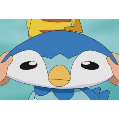 나도 팽도리 만지게해줘.... 만지게해줘.....