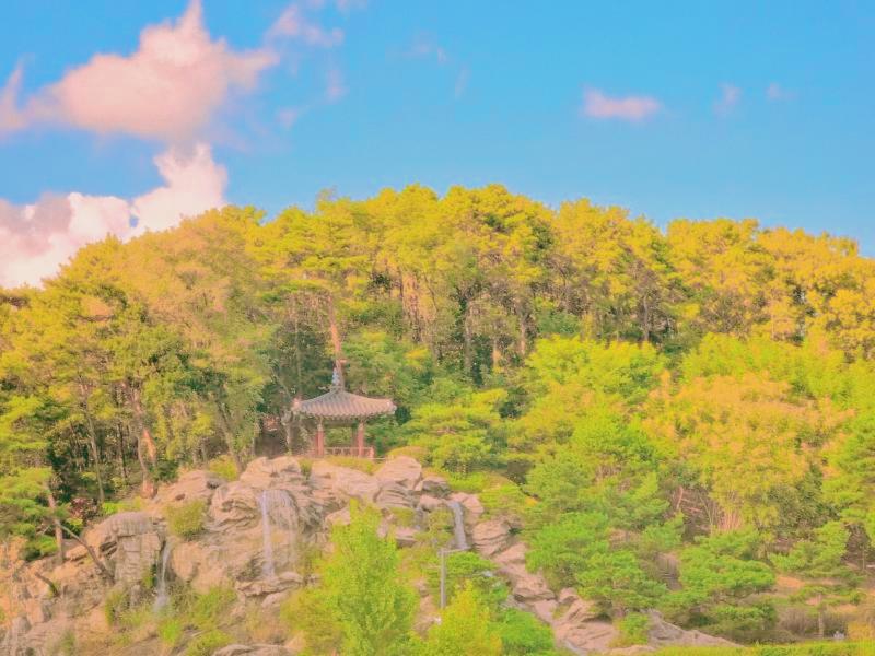 >>23 흑 레스주ㅠㅜㅠㅡ숲속 배경 몽환은 조금 힘들다 최대 난관이야😭😭 선명한 색감 좋아한다그래서 색감은 최대한 살려봤는데 만족스럽지않아..다