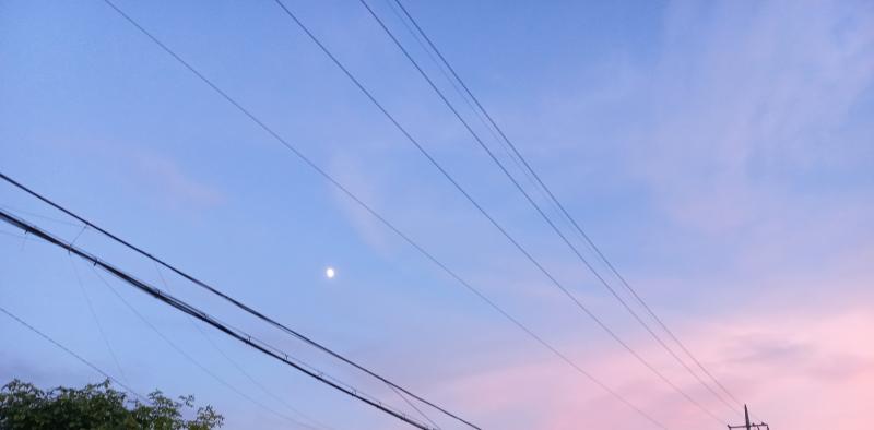 헐 진짜루 예쁘다 나 이사진 좀 더 몽황적인 느낌으로 가능할까? 그리고 혹시 어떤 앱 쓰는지 알려줄 수 있어?