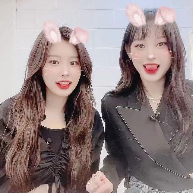 노제
