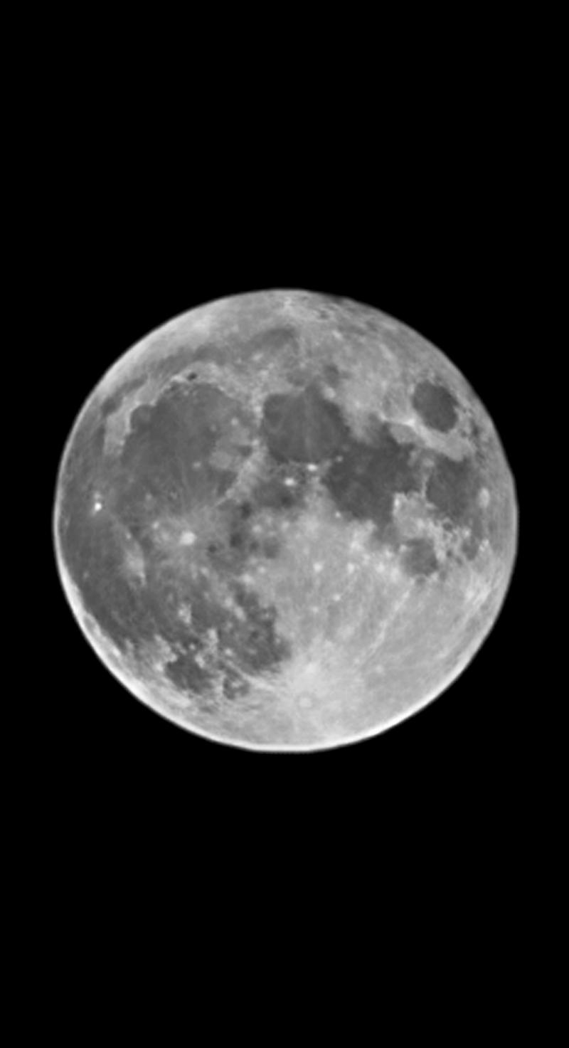 달🌕
