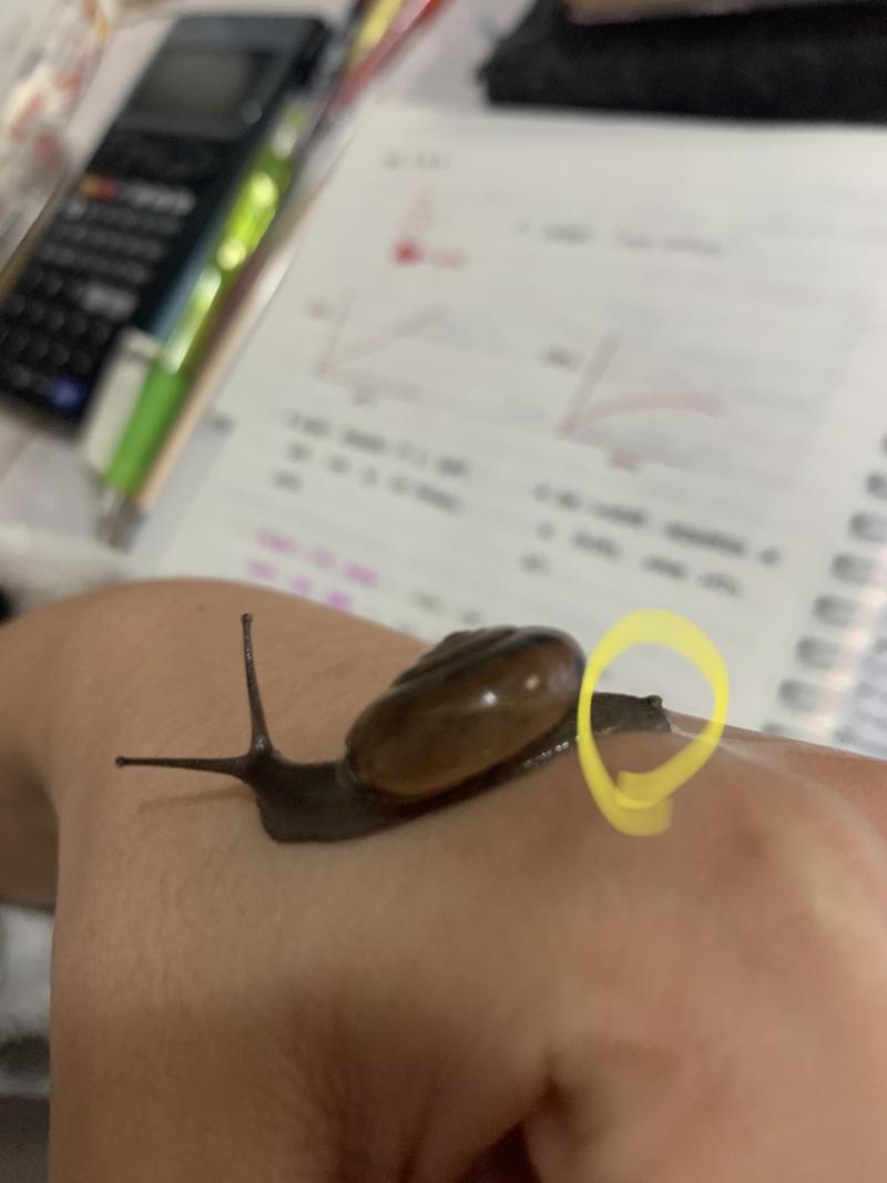 꼬리가 뽀인트 개귀여워진짜