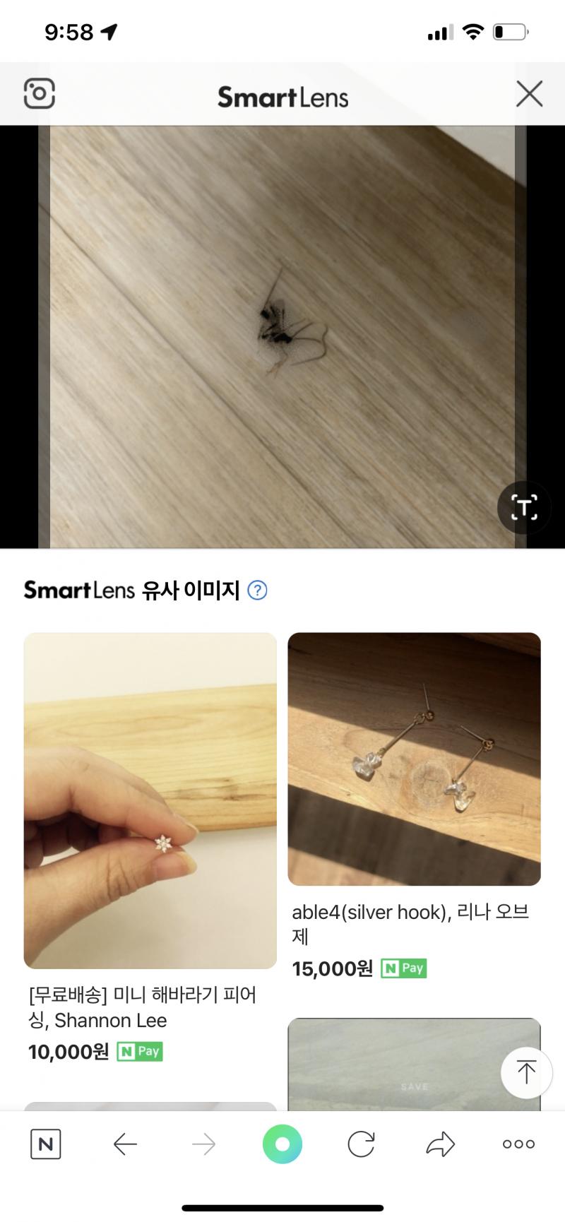 벌레유의