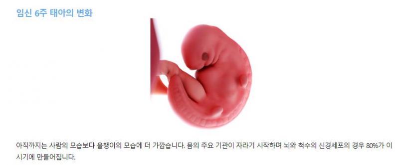 >>506 웅 ㅇ일단 독립이란 단어의 의미 자체가 '다른 것에 예속하거나 의존하지 아니하는 상태로 됨'이니 산모한테 연결된 태아는 독립된 인간이