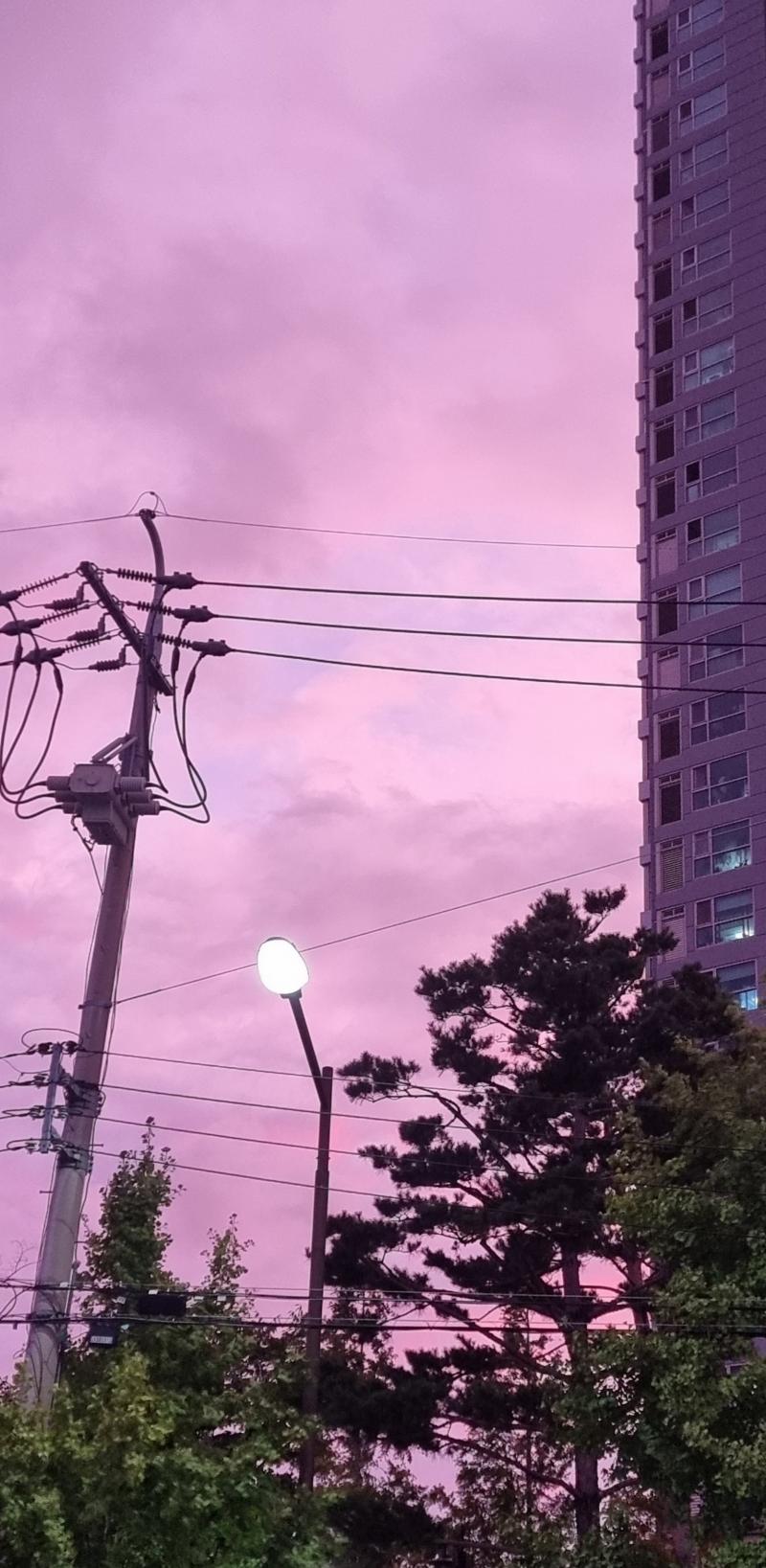 전에 찍은 거 몇 개 투척하구 수업 들으러 간동
