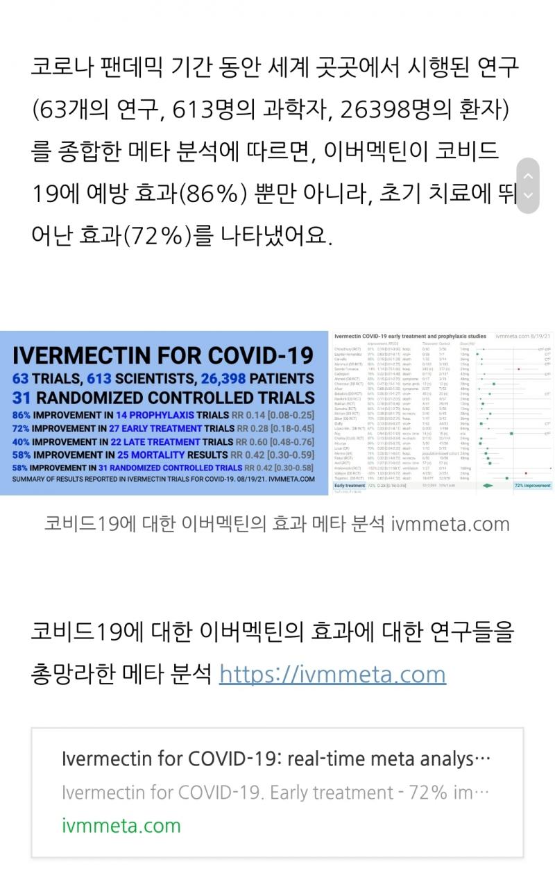 코로나 치료제 이버맥틴