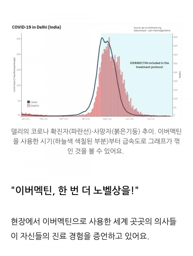 이버맥틴을 사용하는 인도