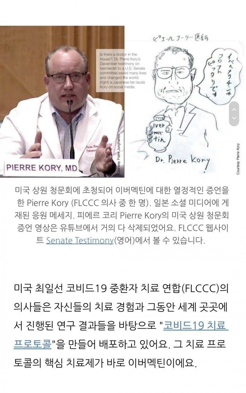 이버맥틴을 사용하는 나라