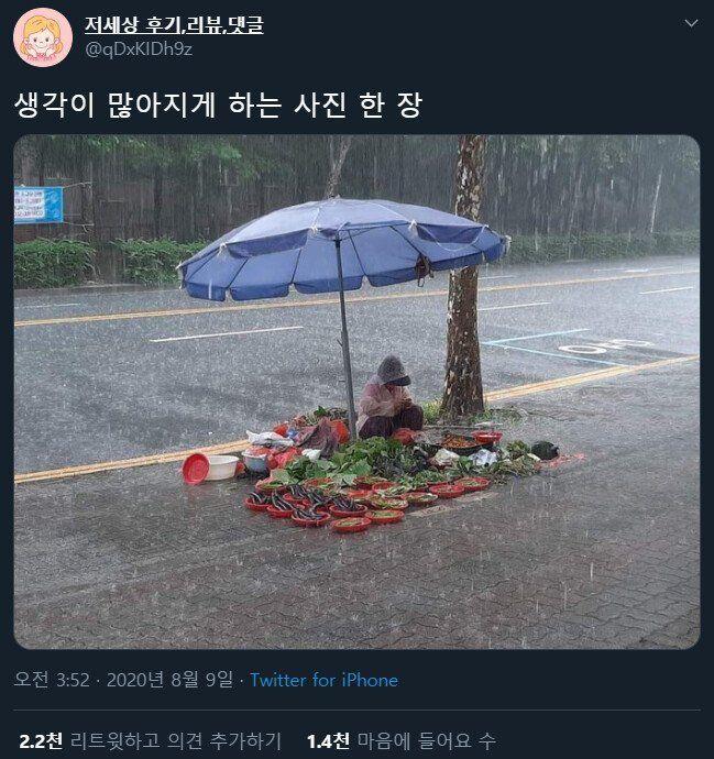 팩트: 지들이 봤어도 안도와줬다
