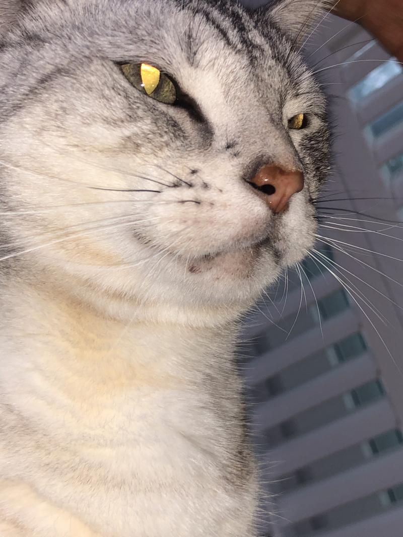 멍청해