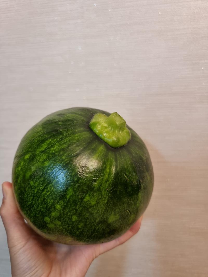 (+) 호박!