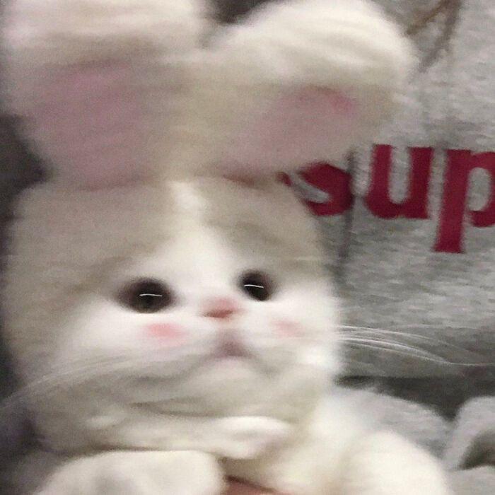 ☆彡 ★彡 ☆彡 ★彡 ☆彡 ★彡 ☆彡 ★彡 𝑴𝑩𝑻𝑰 : ENTJ 나이 : 비공 성별 : 여자 특이사항 : 현재 우울증으로 시설에 입소 중 . 폐