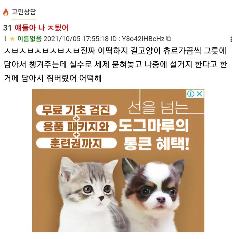 아니 ㅅㅂ광고 뭐냐 겁나 잔인하네