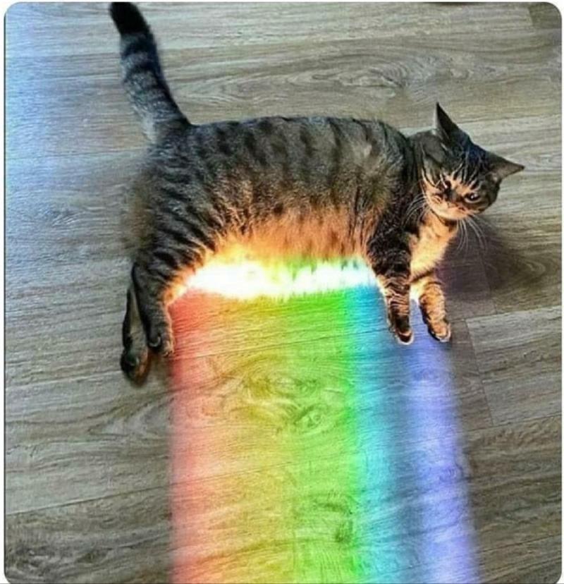 >>13 와우… 정말 랜덤으로 뽑혔나보네요 잘 되지 않았다니 안타깝습니다… 그래도 정 뭐하면 직업은 다른 쪽으로 정할수도 있으니까요 자기 전공대