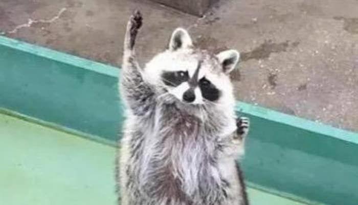 >>13 와우… 정말 랜덤으로 뽑혔나보네요 잘 되지 않았다니 안타깝습니다… 그래도 정 뭐하면 직업은 다른 쪽으로 정할수도 있으니까요 자기 전공대