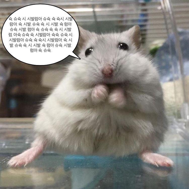 >>67 햄스터 슈슉슉슉