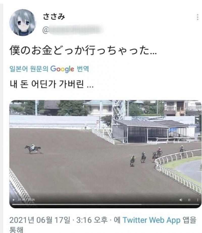 🐎