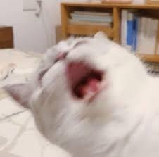 "큭...켁...흥겍..."