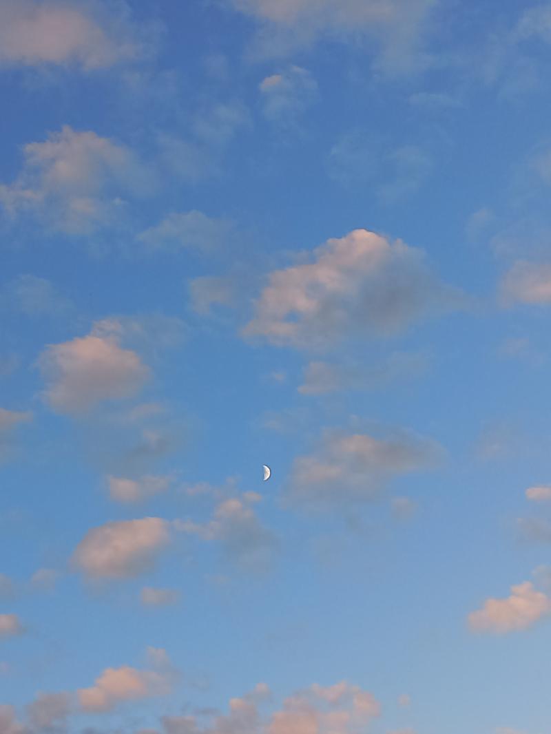 달이 예쁘게도 떴어요!