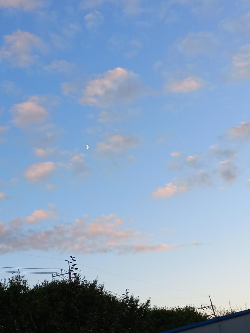 달이 예쁘게도 떴어요!