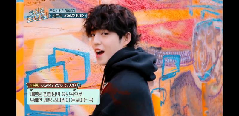 세븐틴 어떤 분이셔...?
