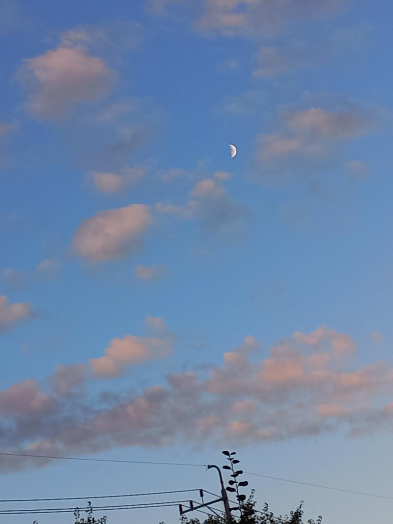 달이 예쁘게도 떴어요!