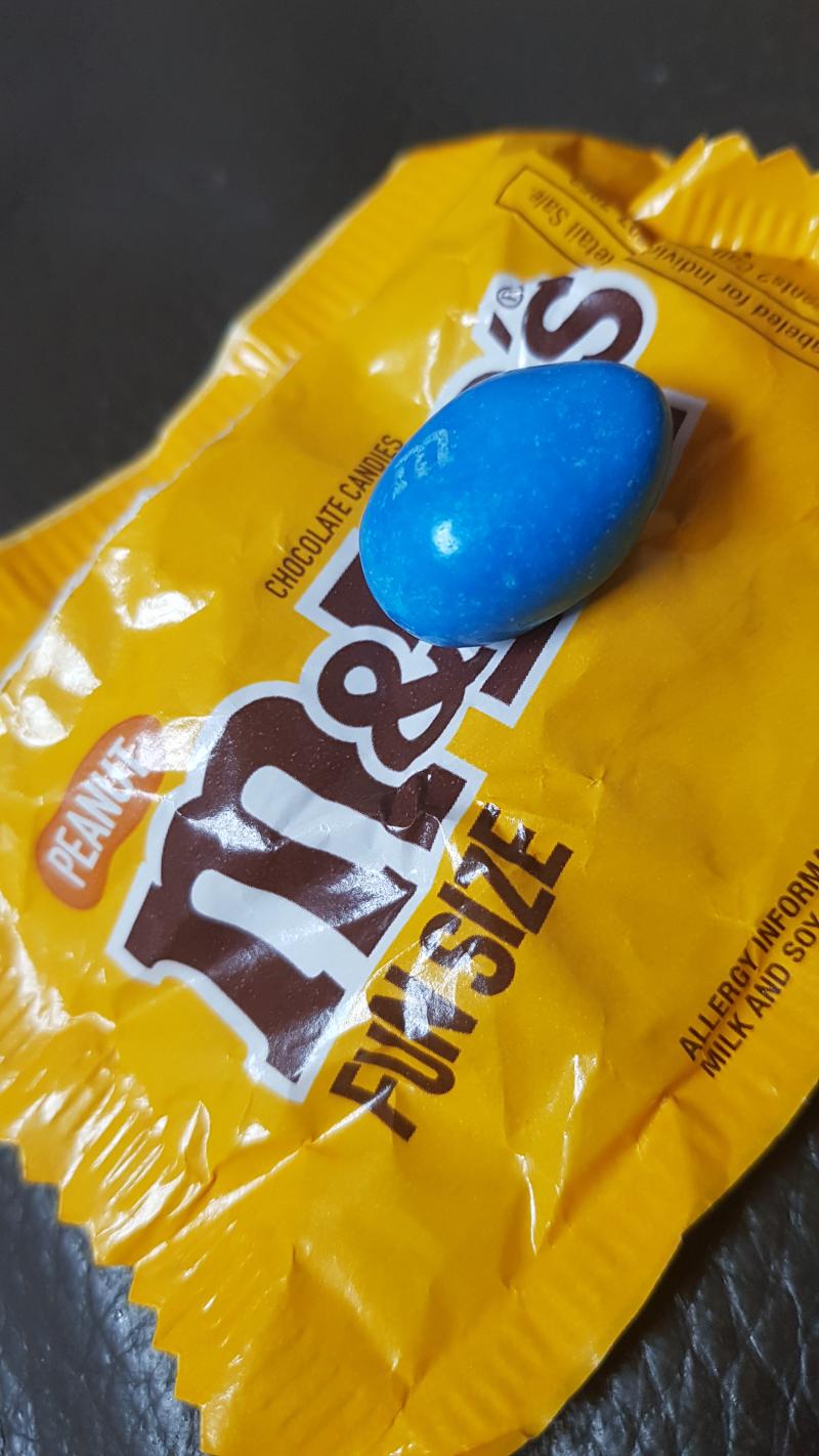 초콜릿 맛있음ㅋㅋ...