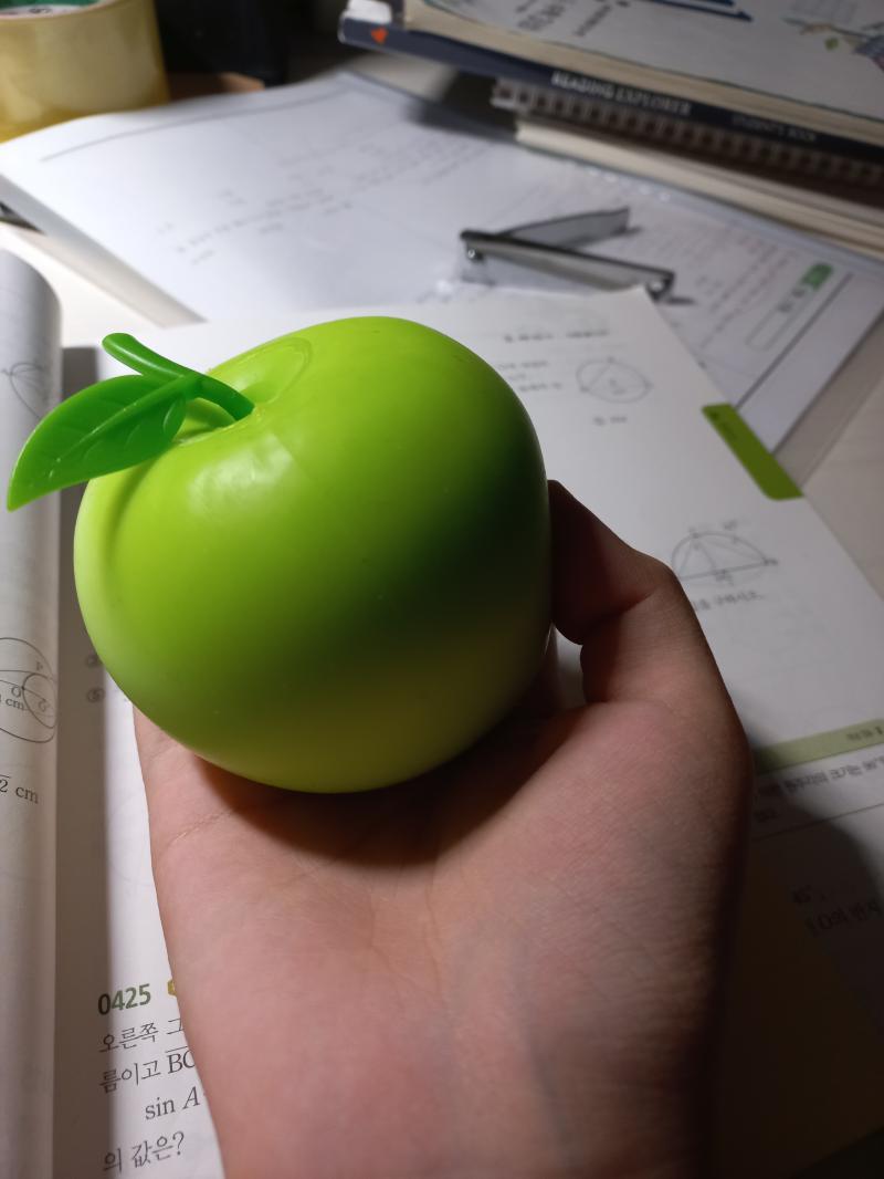이름은 동철이