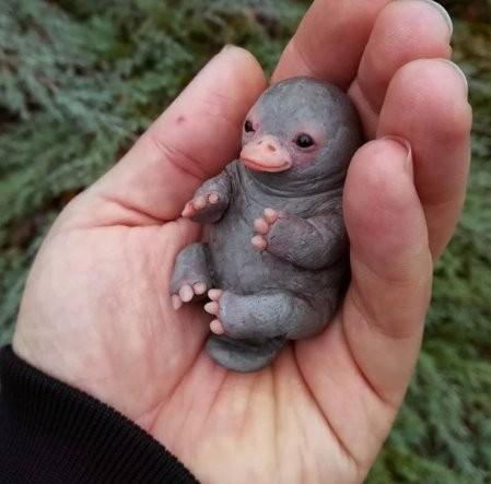 >>6 헐 개귀여워..무슨일이야ㅠㅜㅡ