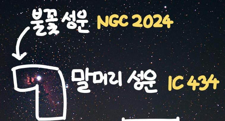 오리온자리에는 볼거리들이 정말 많은데, 그래서 찍어왔어. 사실 오리온 대성운이 메인이었는데 찍다보니까 말머리 성운도 같이 찍혀서 너무 좋다 으하
