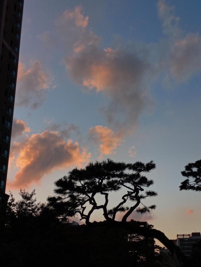 어제 찍은거얌
