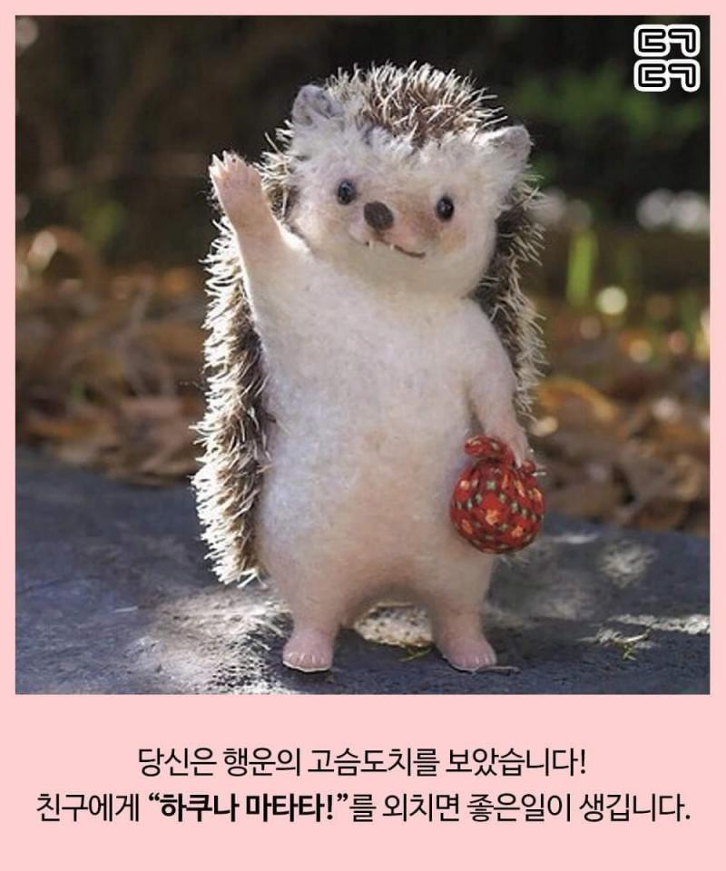>>22 3%확률에 당첨되셨습니다!