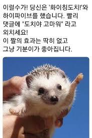 >>3 >>4 >>5 >>6 >>7 >>8 >>9 >>10 >>11 >>12 >>13 >>14 >>15 >>16 >>17 >>18 >>19