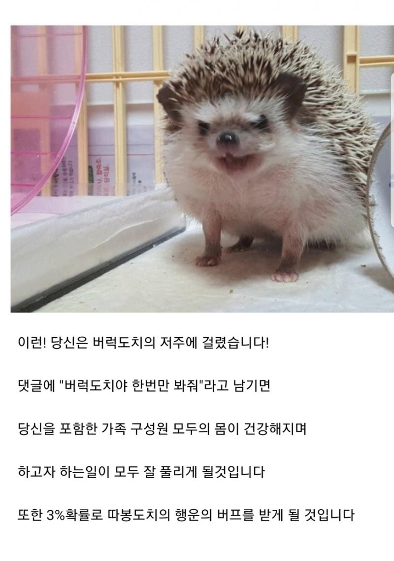 ㅎㅎ