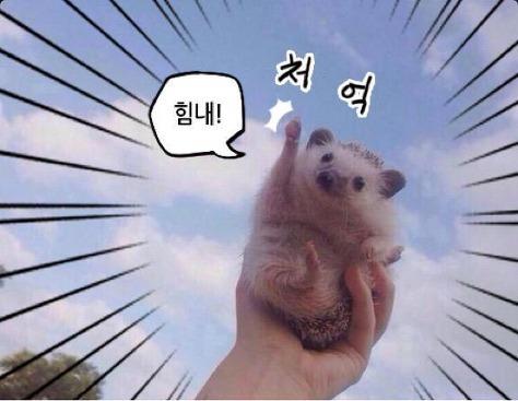 화이팅