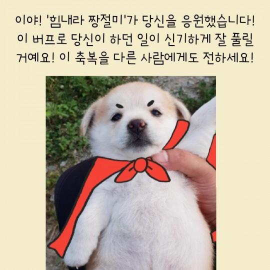 >>27 축하합니다!!!