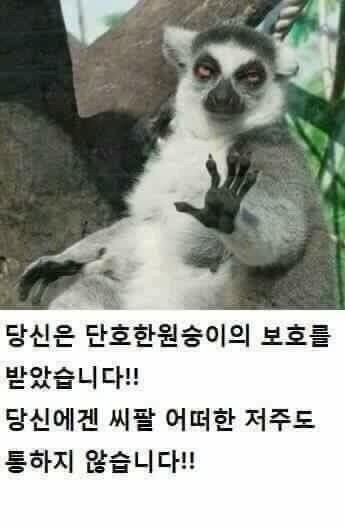 >>6