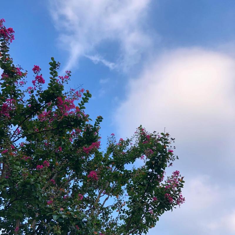 안녕하세요 스레딕 레더님들. 어느새 날이 쌀쌀해져 겨울이 훌쩍 다가왔네요. 짧은 가을을 보낸만큼 1년이 더 짧아진 기분입니다. 단풍 구경을 가기