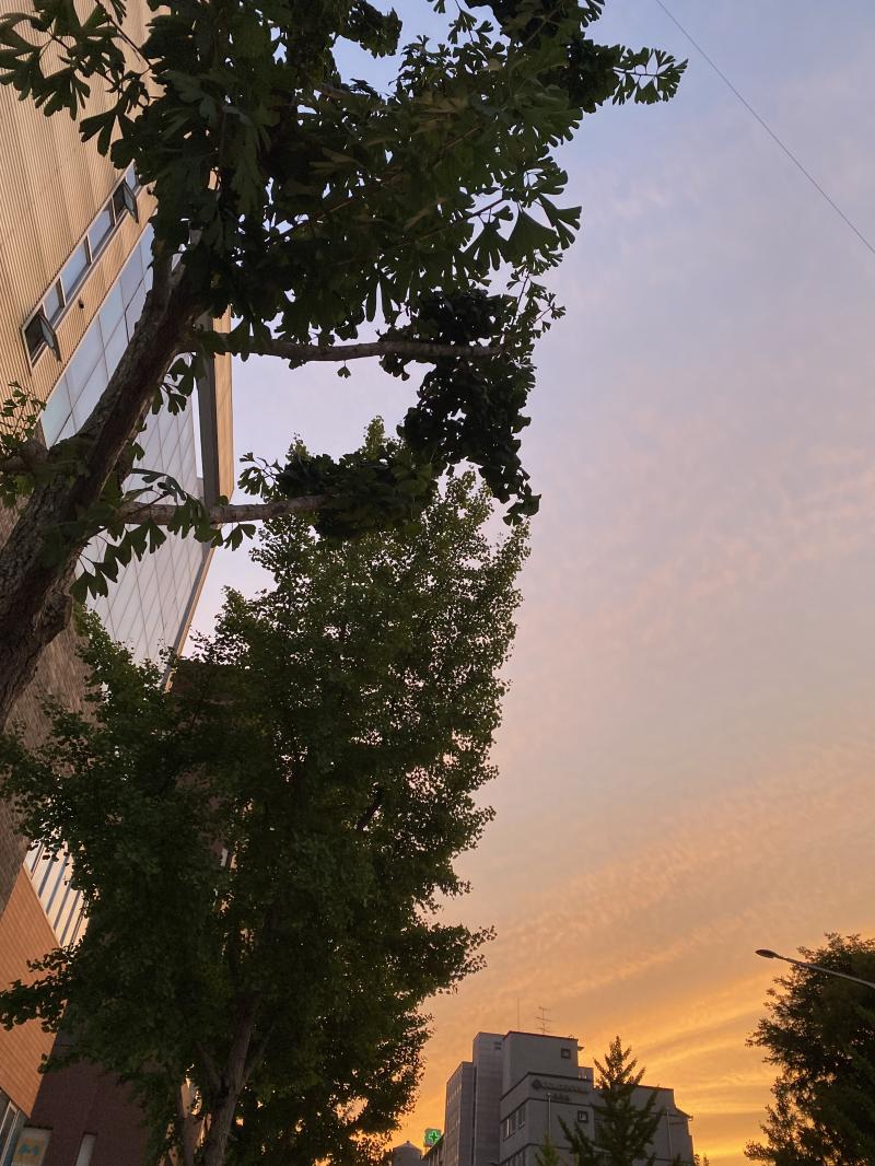동네