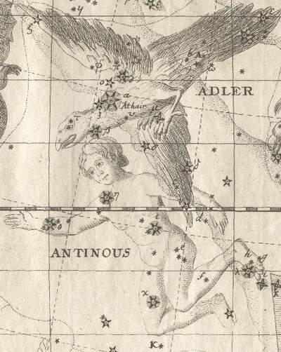 내일이 월요일이라니... 믿을 수 없어 오늘의 별자리는 안티누스자리! (Antinous) ...뭐? 들어본 적 없는 별자리라고?? 안티누스자리는