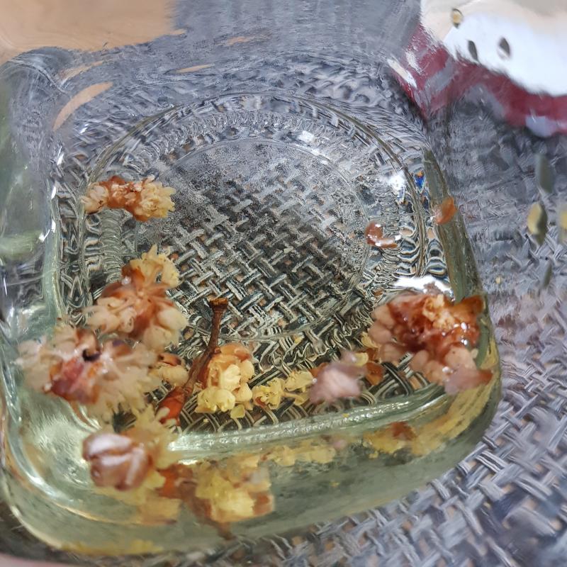 생강꽃차! 향은 국화차랑 비슷한데 생강향도 조금 섞인 느낌? 끝맛이 달아