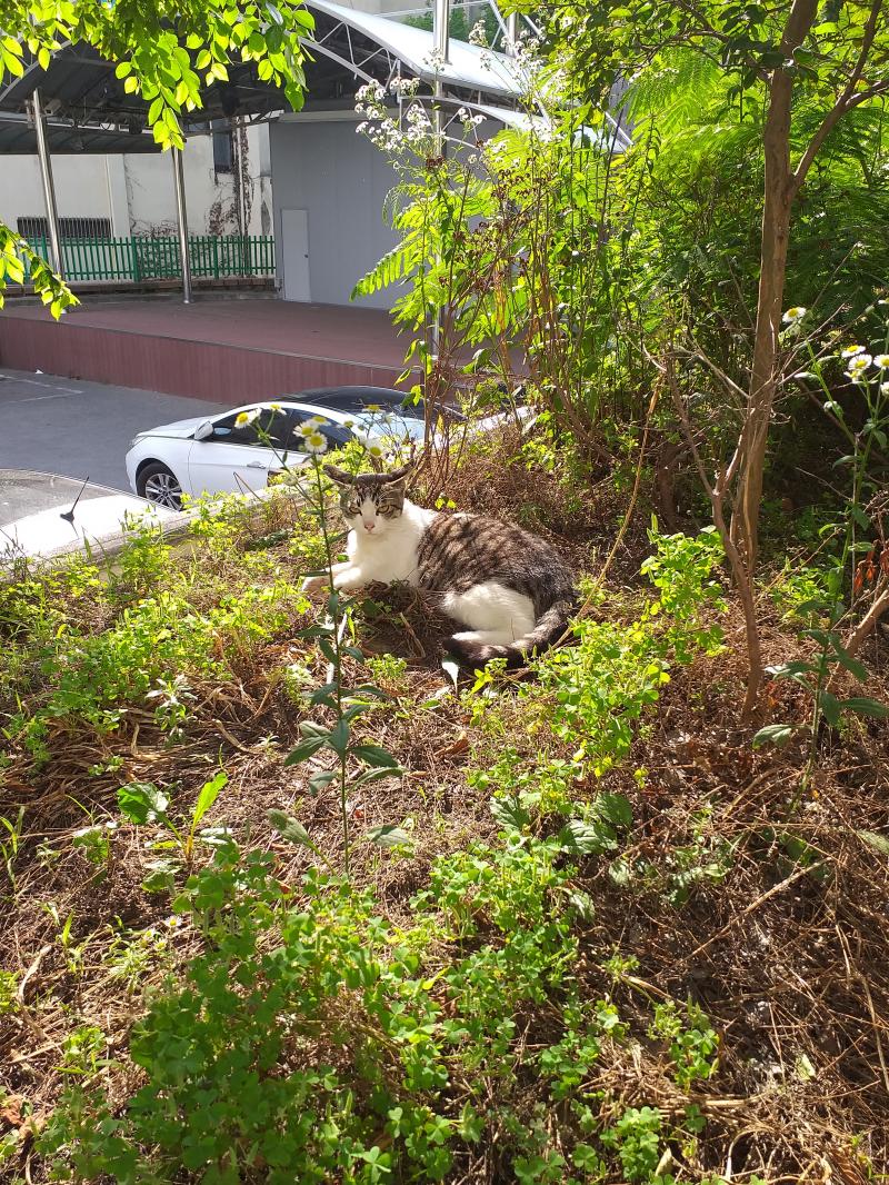 몇 안되는 울 길고앵 화보ㅜㅜ 보고싶다 얘두라 .. 어디간거야ㅜㅜ