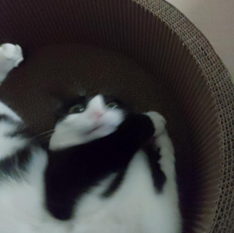 ㅡㅡ
