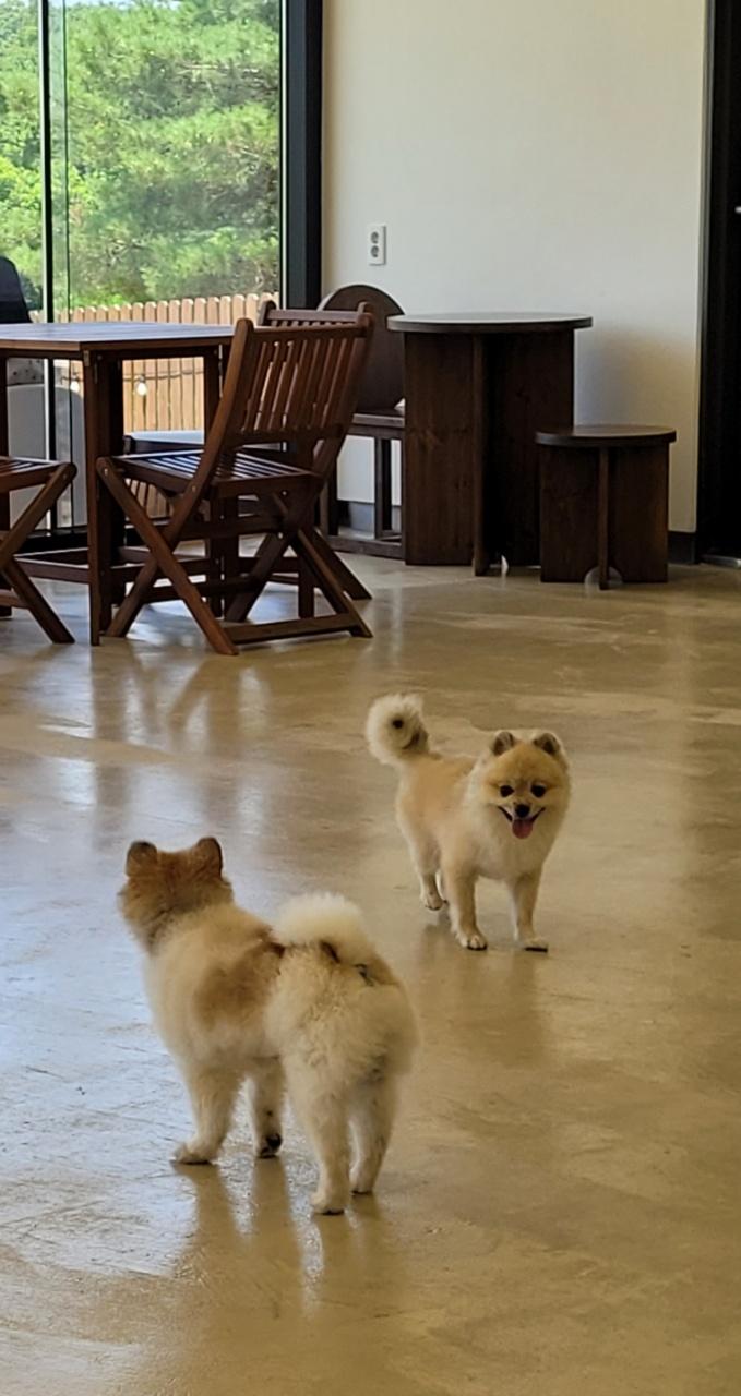 ㅎ
