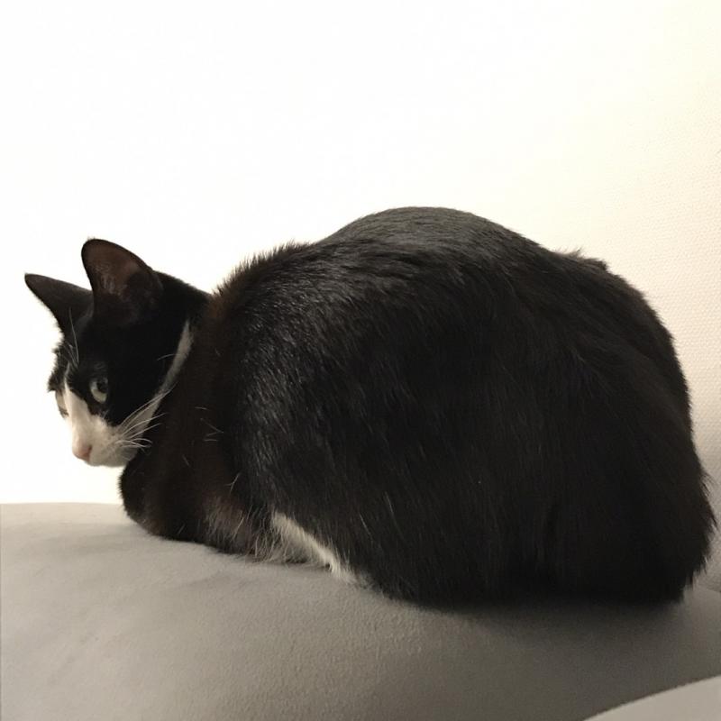 ㅡㅡ