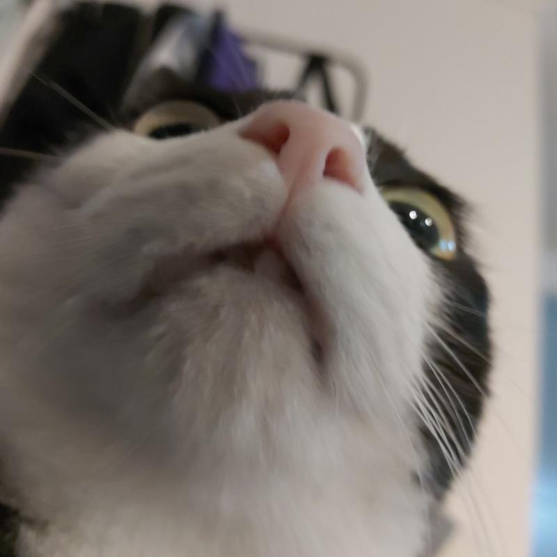 ㅡㅡ