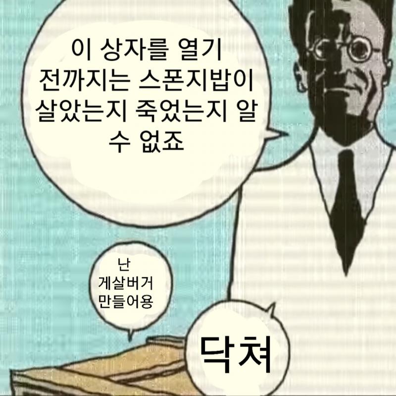 슈뢰딩거의 스폰지밥