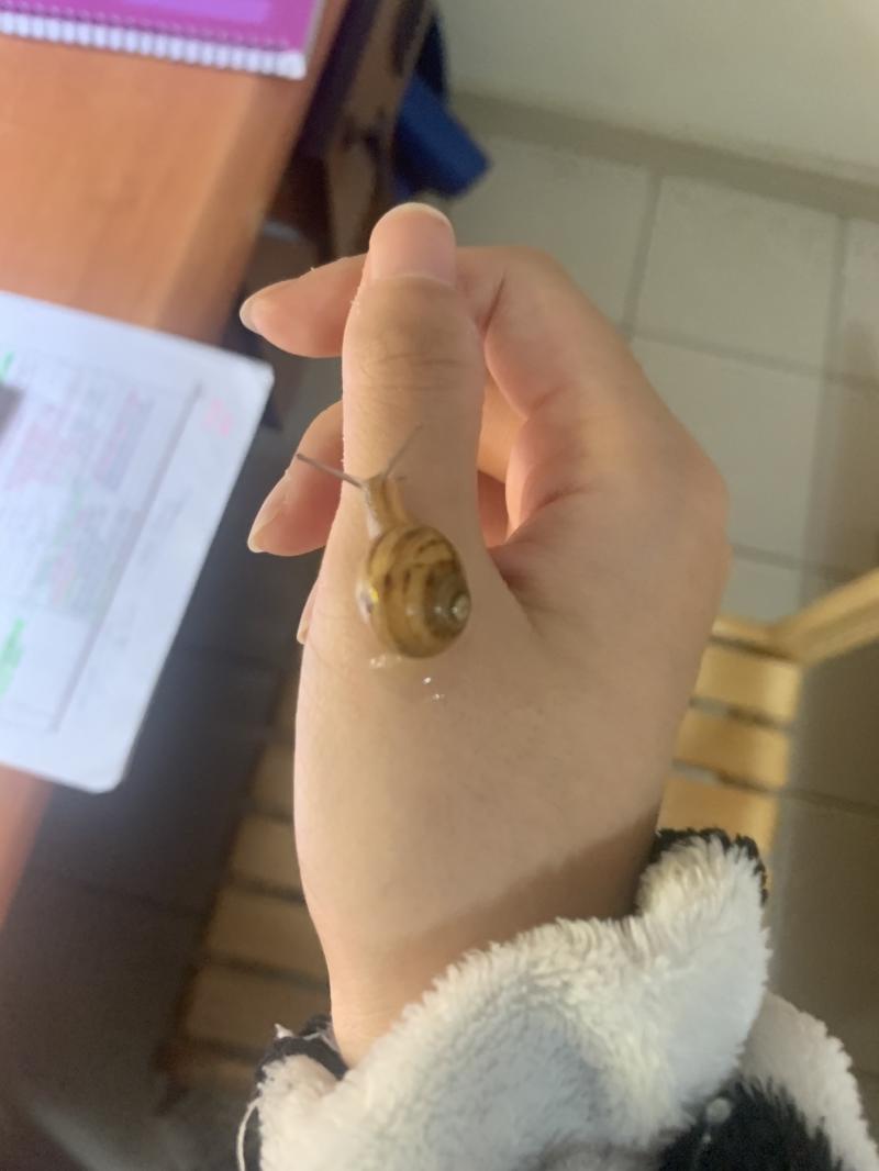 꽤 많이컸어ㅜㅠㅜㅜㅜㅜ옥돌이도..커졌을려나..수분보충 해야하는데..