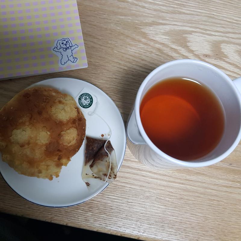 오늘은 루이보스! 향은 다른차에 비해서 조금 약한것같애 뭐지 내가 너무 물을 많이 넣었나.. 맛이 이상해 너무 끓은물에 우려냈나봐 한약 우려낸맛