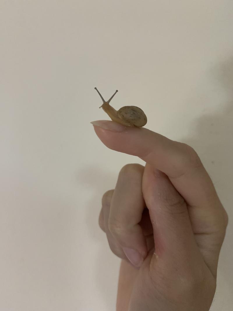 새로운 아기도 인생샷..